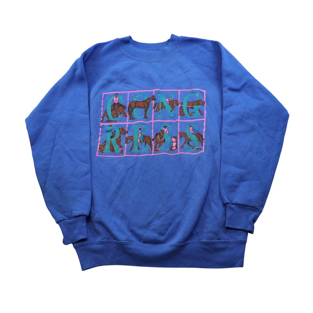 Hanes Unisex M Sweatshirt Blue Vintage Congress Horse Graphic Raglan USA Made